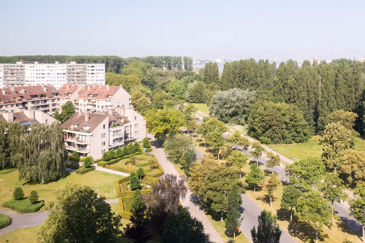 Appartement spacieux et lumineux avec vue dégagée - 7