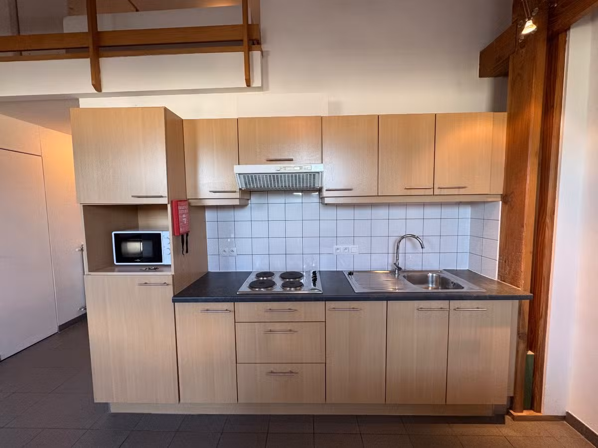 Maison en rangée rénovée avec jardin urbain - 3