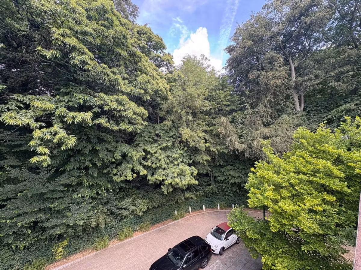 Prachtig appartement met uitzicht op Te Boelaerpark - 7