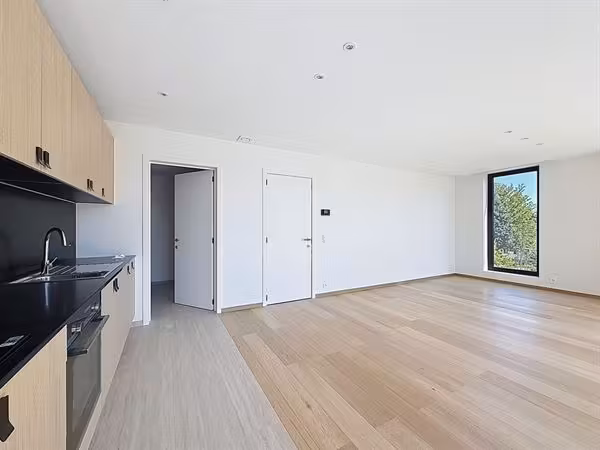 Bright nieuwbouwappartement met 2 slaapkamers en terras - 9