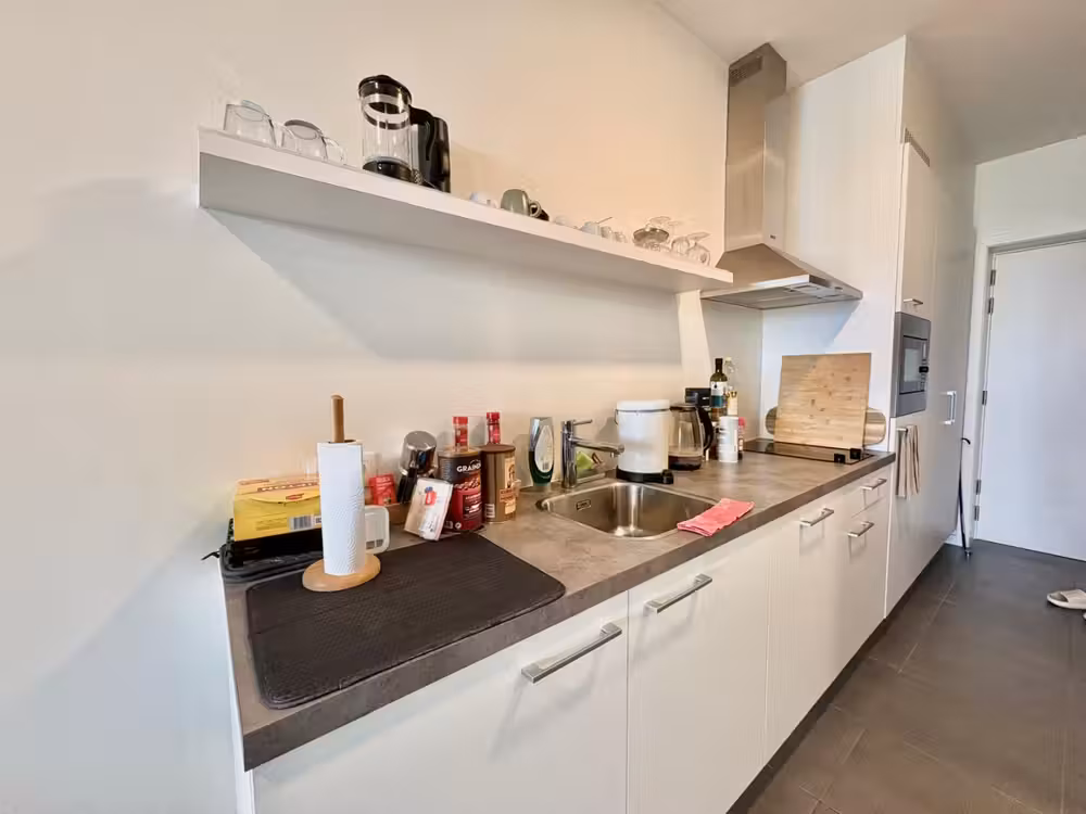 Instapklare studio met terras in Antwerpen Linkeroever - 4