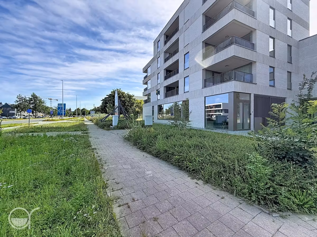 Appartement neuf lumineux avec 2 chambres et terrasse - 8
