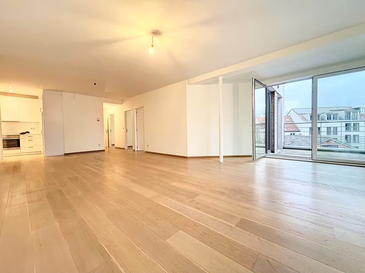 Bright 3-bedroom apartment with terrace - 4