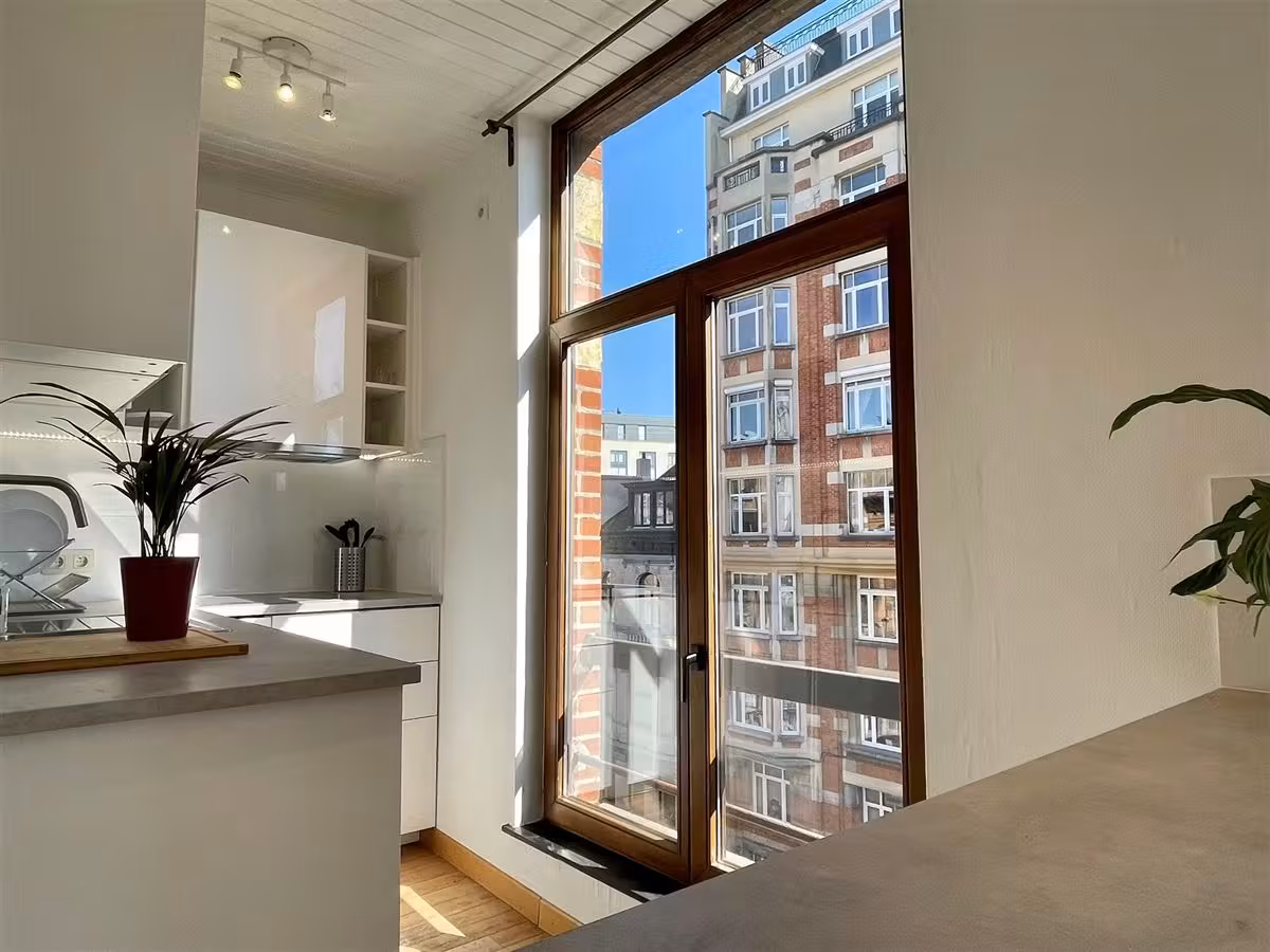 Renovated furnished studio in Schaerbeek - 11