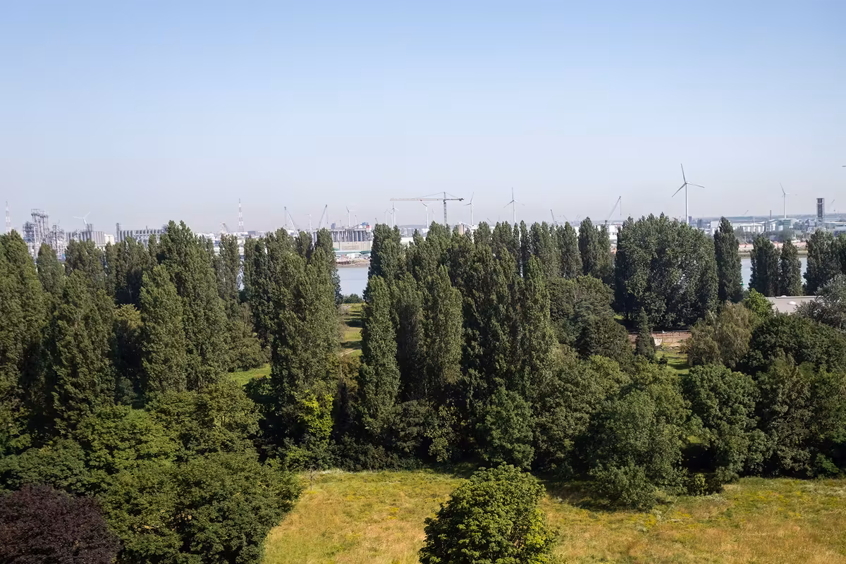 Appartement spacieux et lumineux avec vue dégagée - 8