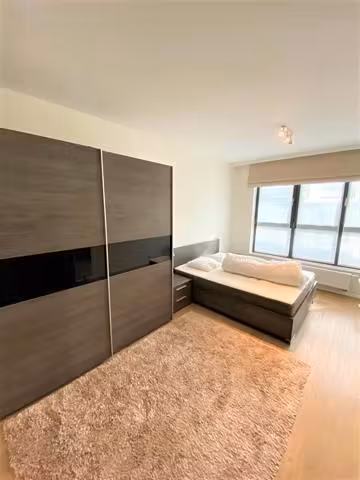 Nice furnished apartment near Bois de La Cambre - 11