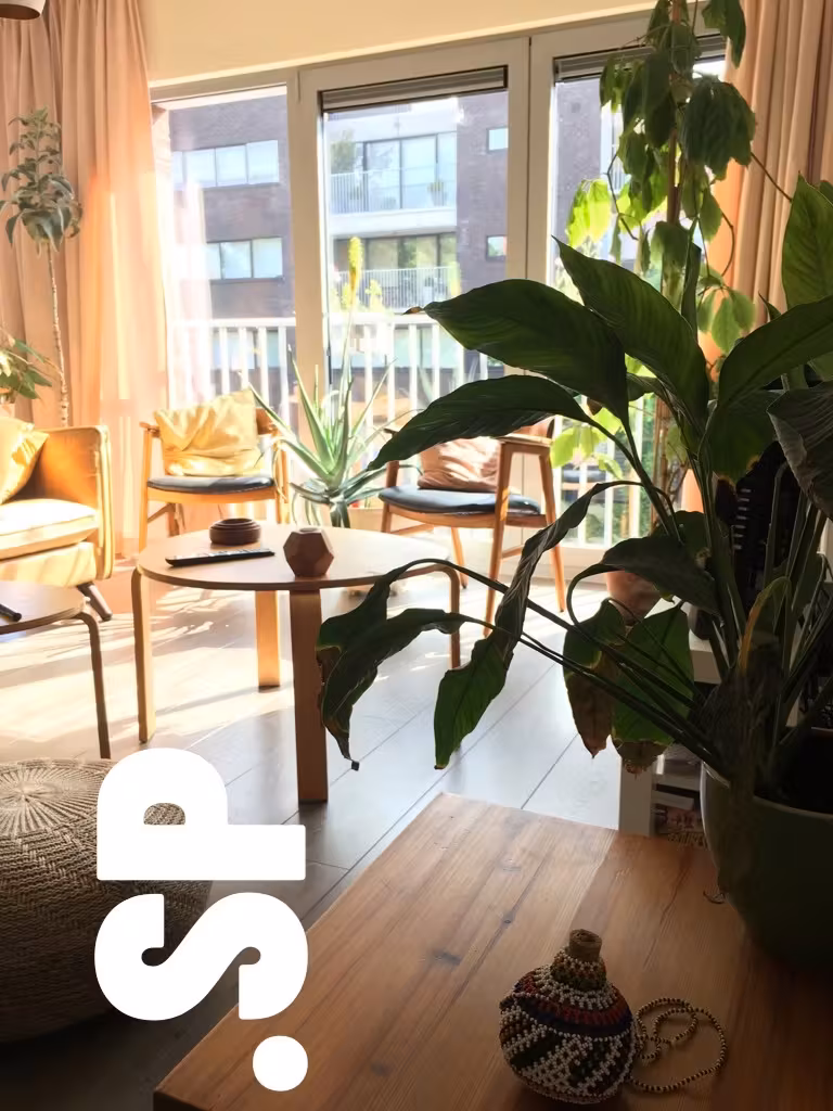 Three-bedroom apartment with large terrace - 4