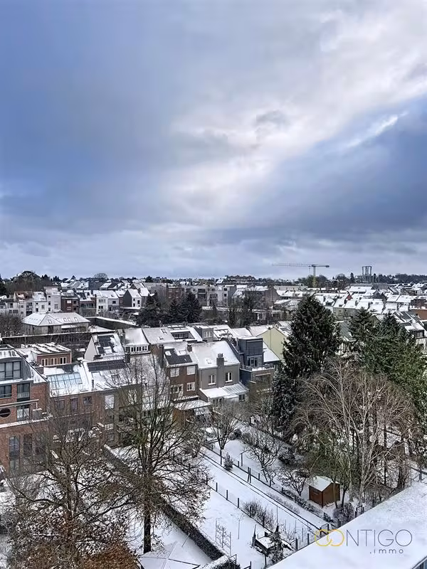 Lumineux Studio entièrement rénové - 5